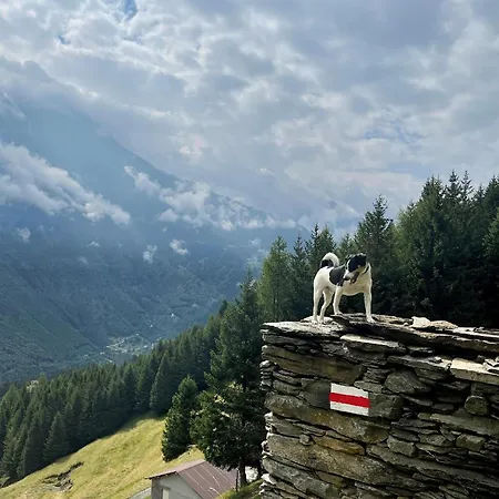 Maiensaess, Berghuette Pundelon - Autark, Voll Ausgestattet, Ressourcen Begrenzt בקתה *